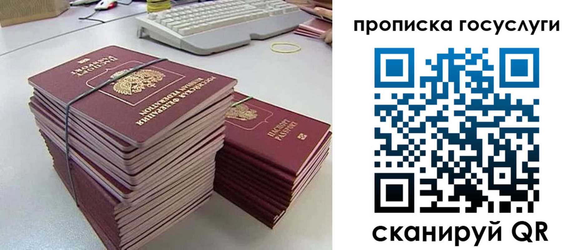 временная регистрация для школы в Заводоуковске